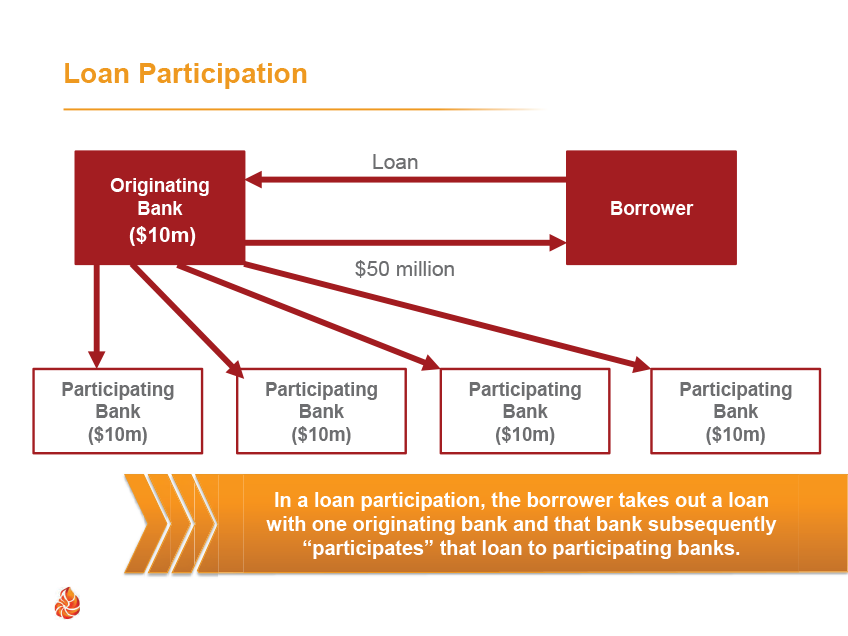 assignment vs participation in loans